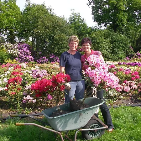 Ammerlaender Hof מלון 3*